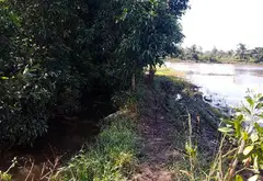 Bán nhà riêng diện tích lớn tại xã Xuân Thới Sơn, Hóc Môn... Bán nhà riêng tại Xuân Thới Sơn, Hồ Chí Minh 13