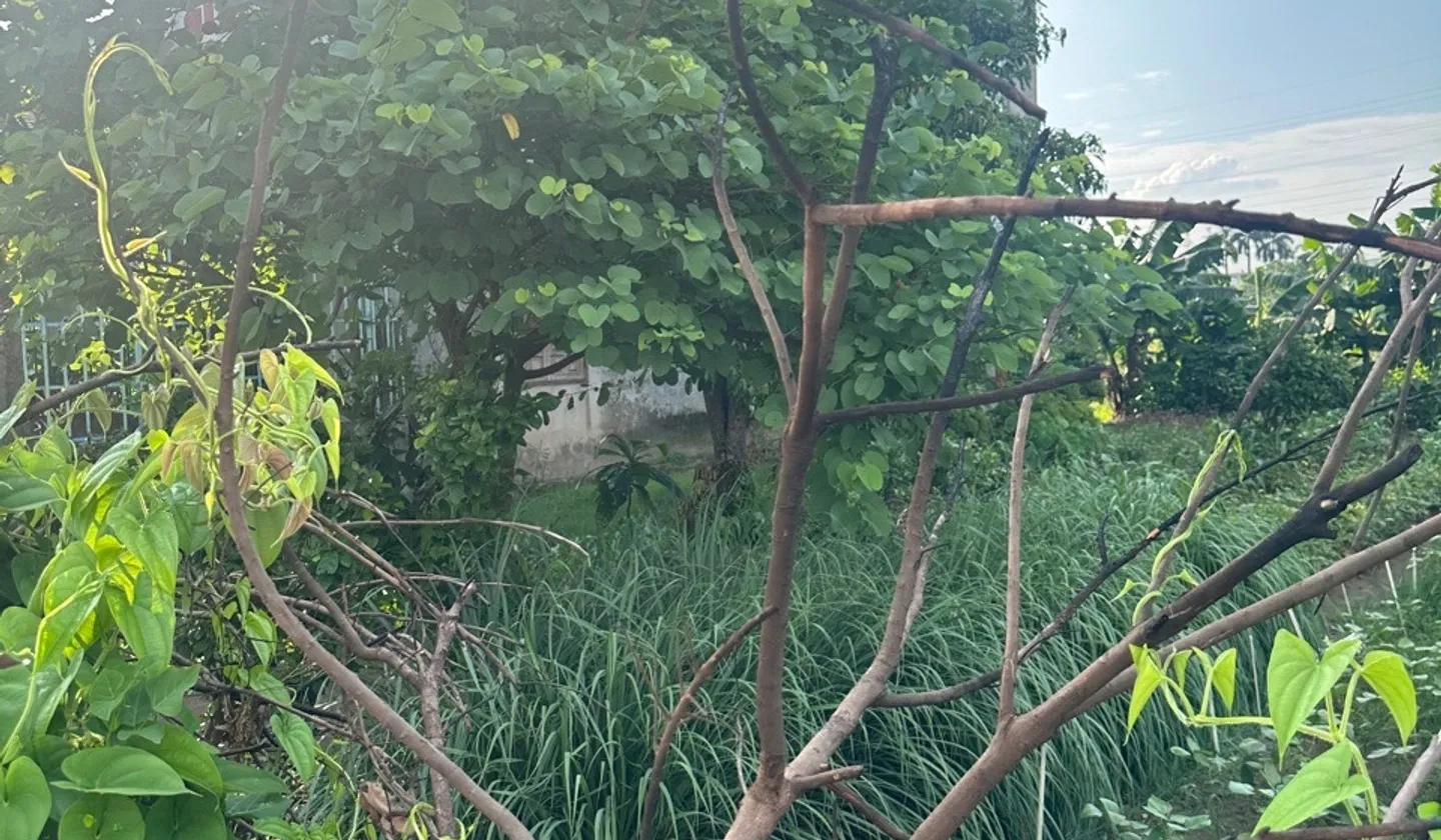 Lô đất hướng Đông Nam đối diện trung tâm hành chính phường Hồng An... Bán đất tại Hồng An, Hải Phòng 01