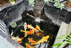 Bán biệt thự liền kề Phú Diễn, 6 tầng thang máy, giá siêu hợp lý... Bán biệt thự, liền kề tại Phú Diễn, Hà Nội 02