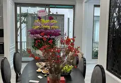 Biệt thự đẳng cấp tại Bồ Đề, Long Biên - Kiệt tác kiến trúc Châu Âu giữa lòng Hà Nội... Bán partner tại Bồ Đề, Hà Nội 05
