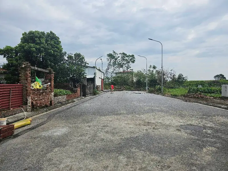 Bán đất 2 mặt tiền tại xã Thụy Lâm, diện tích 74.2m², pháp lý cơ sở... Bán đất tại Thư Lâm, Hà Nội 01