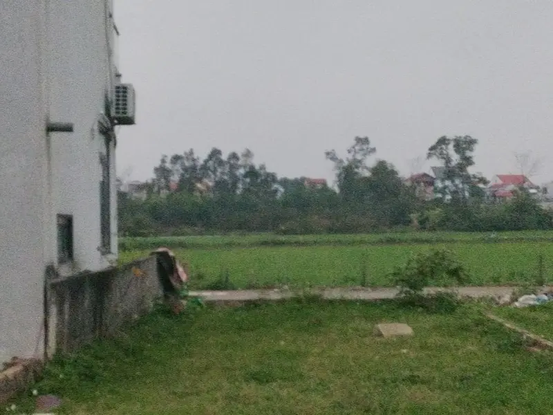 Sở hữu đất vàng Đông Lại, không gian mở đáng mơ ước... Bán đất tại Sóc Sơn, Hà Nội 01