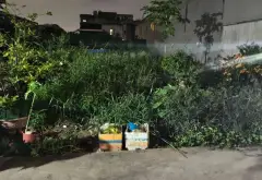 Đất Bờ Xe Lam full thổ cư, vị trí đẹp, giá sốc giảm ngay... Bán đất tại Tân Nhựt, Hồ Chí Minh 11