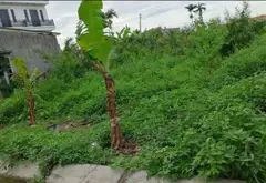 Bán đất lô góc 2 mặt thoáng tại phố Vụ Sơn, Phù Liễn, Kiến An... Bán đất tại Phù Liễn, Hải Phòng 02