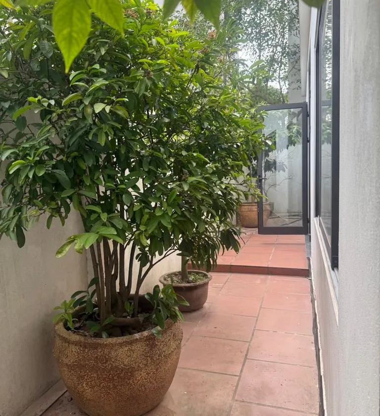 BIỆT THỰ HÀ PHONG – HOÀN THIỆN ĐẸP – FULL NỘI THẤT
🏡 Nhà đẹp, chủ hoàn thiện cực tâm huyết, nay cầ... Bán biệt thự, liền kề tại Mê Linh, Hà Nội 01