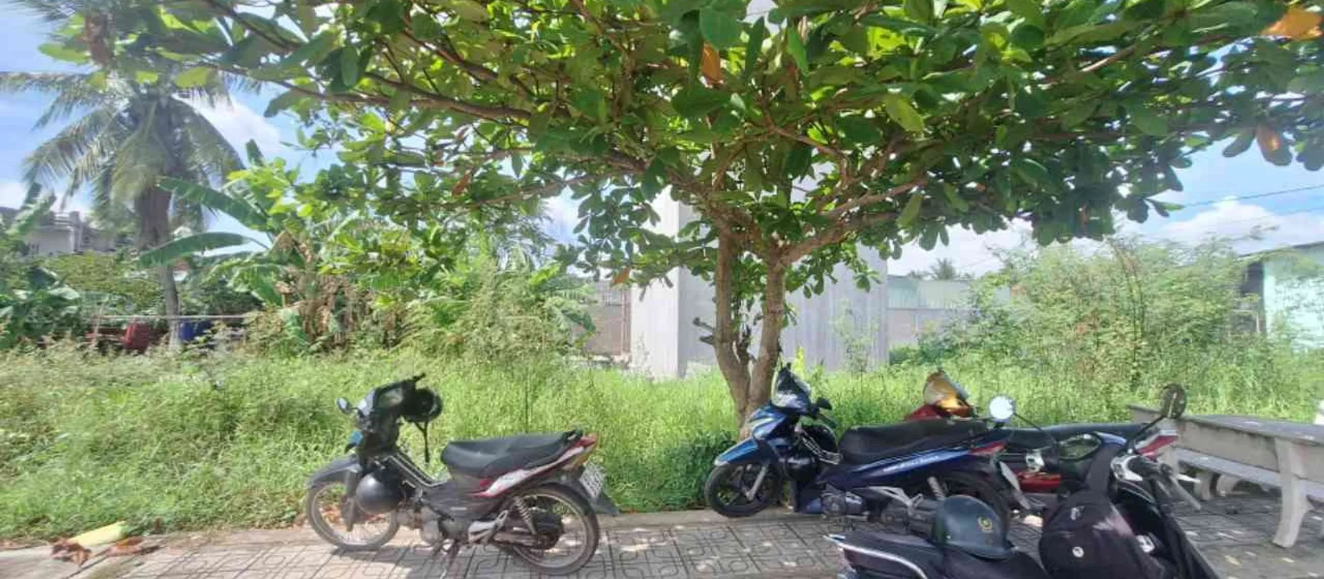 Bán đất 50m² phường Long Phước giá 2,5 tỷ chính chủ... Bán đất tại Long Phước, Hồ Chí Minh 01