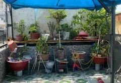 Nhà 5 tầng mặt phố sang trọng, diện tích rộng ở phường 11... Bán nhà mặt phố tại Thông Tây Hội, Hồ Chí Minh 07