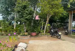 Cơ hội vàng sở hữu nhà mặt phố lô góc vị trí đắc địa sát Tôn Đản... Bán nhà mặt phố tại Cẩm Lệ, Đà Nẵng 06