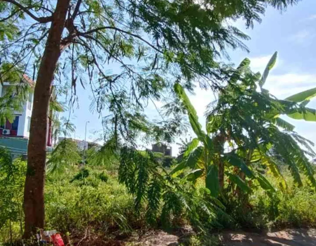 Đất Sát Trung Tâm Phường Dương Kinh - Tương Lai Rực Rỡ... Bán đất tại Dương Kinh, Hải Phòng 01