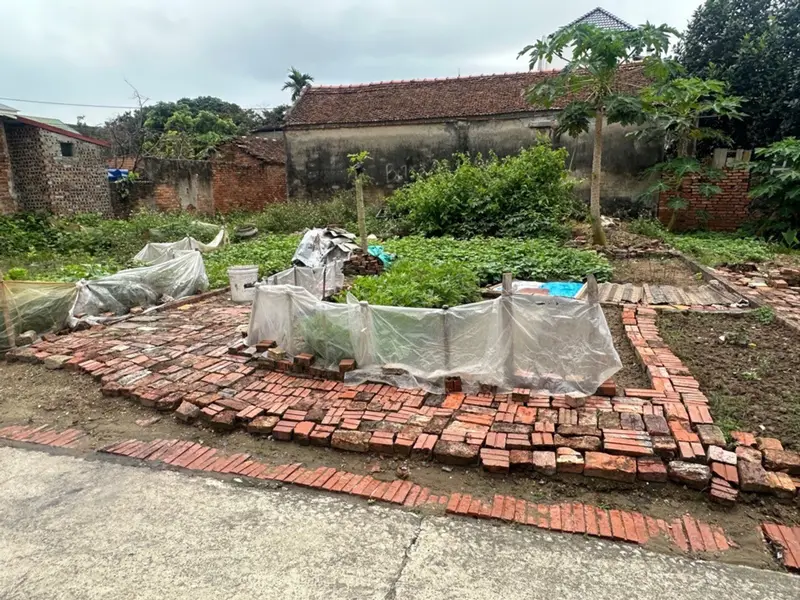 Bán đất nền phân lô tại phường Thượng Hồng, Hưng Yên, mặt tiền rộng ô tô vào được... Bán đất tại Thượng Hồng, Hưng Yên 01