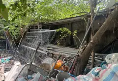 Bán nhà chính chủ... Bán đất tại Xuân Thới Sơn, Hồ Chí Minh 05