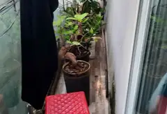 🏡Nhà nhỏ đón Tết . Hẻm 116 Nguyễn Thị Tần , Phường Chánh Hưng (P.2, Quận 8 cũ)... Bán nhà riêng tại Phú Định, Hồ Chí Minh 03