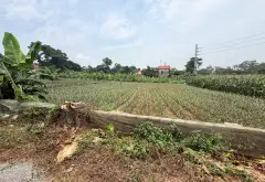 Bán đất lô góc 3 mặt đường Quốc lộ 413, Bất Bạt, Ba Vì, Hà Nội, mặt tiền 58m... Bán đất tại Bất Bạt, Hà Nội 01