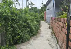 Bán nhà riêng 1 tầng hướng Đông Nam tại xã Thiên Hương, Thủy Nguyên, Hải Phòng, diện tích 420 m²... Bán nhà riêng tại Thiên Hương, Hải Phòng 10