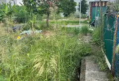🔥 KĐT TÂN VIỆT TIẾN – ĐẠI ĐỒNG VIEW HỒ – ĐƯỜNG 19,5M 🔥... Bán đất tại Đại Đồng, Bắc Ninh 11