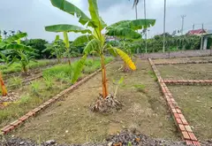 Cơ Hội Sở Hữu Đất Vàng Gần KCN Tràng Duệ Với Giá Hấp Dẫn... Bán đất tại An Trường, Hải Phòng 03