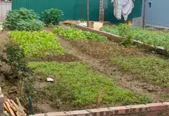 Chưa đến 3ty, Đất mặt tiền ô tô vào ngay Chợ Tư Thế, Trí Quả... Bán đất tại Trí Quả, Bắc Ninh 03