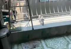 Bán nhà riêng 2 tầng diện tích 60m² ngay cầu phú mỹ , Quận 7 giá chỉ 3ty
Nhỉnh... Bán nhà riêng tại Phú Thuận, Hồ Chí Minh 08
