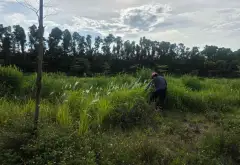Bán đất Cửu Cao-Văn Giang, đất phân lô, đường rộng vỉa hè, Nhỉnh 1 tỷ.... Bán đất tại Phụng Công, Hưng Yên 01