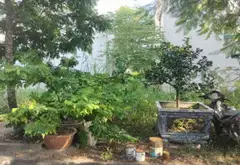 Đất nền tái định cư giá hợp lý tại Hải An, Hải Phòng... Bán đất tại Hải An, Hải Phòng 06