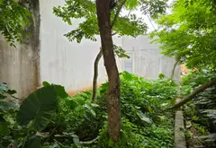 Đất Hiếm Phường Thuận Thành, Bắc Ninh – Ô Tô Vào Tận Nơi, Giá Tốt... Bán đất tại Thuận Thành, Bắc Ninh 03