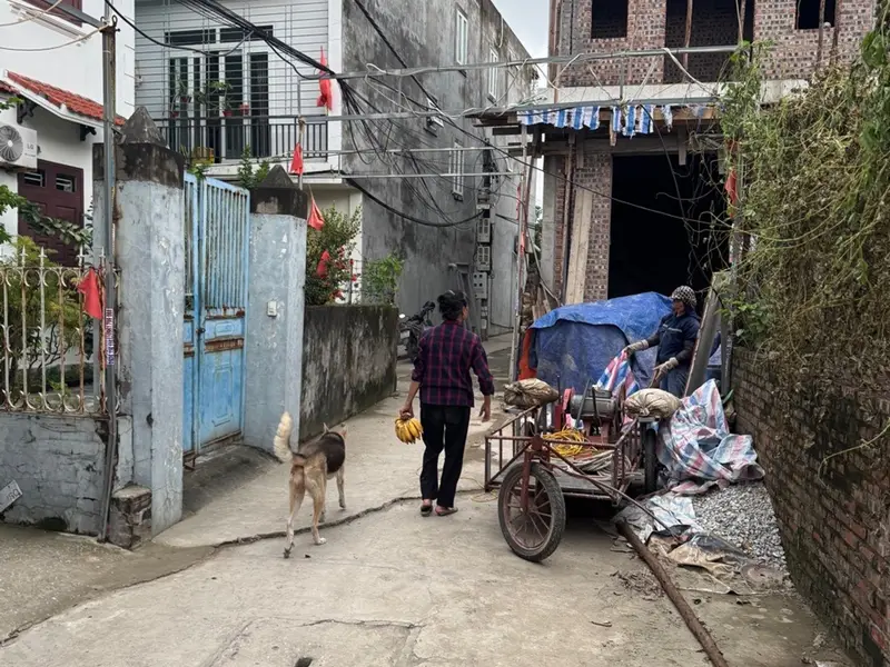 Bán đất 54m² ngõ Bình Kiều, Đông Hải, Hải Phòng với vị trí đắc địa... Bán đất tại Đông Hải, Hải Phòng 01