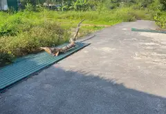 Bán đất 114,3m2 gần trung tâm xã Thanh Sơn - Sóc Sơn... Bán đất tại Kim Anh, Hà Nội 02
