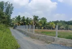 Bán đất 1000m2 khu dân cư xã Bình Lợi, giá 2.3 tỷ thương lượng... Bán đất tại Bình Lợi, Hồ Chí Minh 02