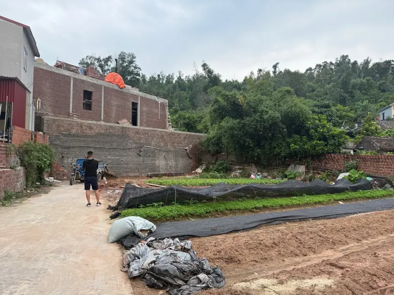 Cơ hội vàng sở hữu đất vị trí đỉnh - Núi 1 Thủy Đường siêu hiếm có... Bán đất tại Thủy Nguyên, Hải Phòng 01