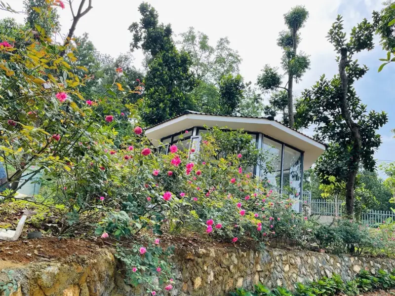 Đất nền biệt thự view Đại Lộ Thăng Long tại Đồng Quang Quốc Oai... Bán đất tại Quốc Oai, Hà Nội 01