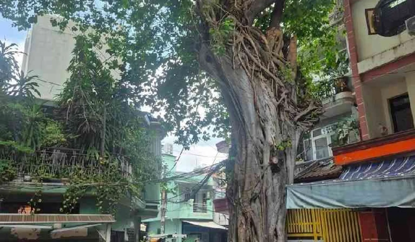 Nhà Đẹp Hẻm Xe Hơi Lê Quang Định - Sống Chuẩn Sang... Bán nhà riêng tại Gia Định, Hồ Chí Minh 01