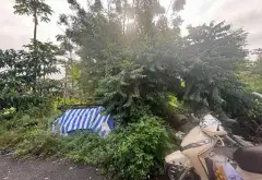 Cơ Hội Vàng Sở Hữu Đất Lô Góc Nguyễn Xiển Giá Tốt 3,5 tỷ... Bán đất tại Long Bình, Hồ Chí Minh 01