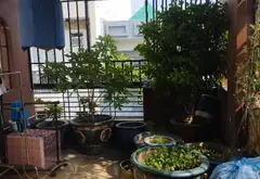 Nhà 4 tầng sang ngay trung tâm Phường Nhiêu Lộc, hẻm xe hơi tránh... Bán nhà riêng tại Nhiêu Lộc, Hồ Chí Minh 06