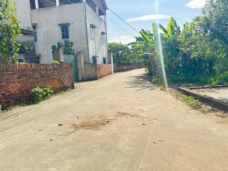 Bán đất 83m² khu Trường Đua Ngựa, Tân Minh, Sóc Sơn... Bán đất tại Sóc Sơn, Hà Nội 01