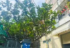 Nhà mặt tiền rộng 6.5m ngay Phạm Thế Hiển, giá ưu đãi... Bán nhà riêng tại Bình Đông, Hồ Chí Minh 02