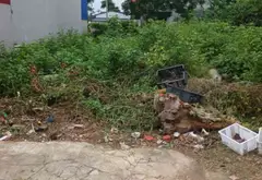 Mảnh đất mặt đường Hòa Nghĩa rộng rãi, vị trí đắc địa, thuận lợi kinh doanh... Bán đất tại Dương Kinh, Hải Phòng 04