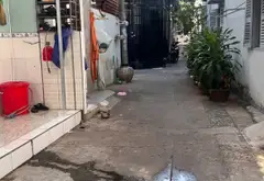 Nhà 4 phòng ngủ giá tốt trên đường Nguyễn Thái Sơn, phường Hạnh Thông - Cơ hội hiếm có để sở hữu... Bán nhà riêng tại Hạnh Thông, Hồ Chí Minh 02