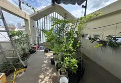 Bán nhà 4 tầng MTKD - KDC Tân Quy Đông, đường 40 - Chỉ 19tỉ x... Bán nhà mặt phố tại Tân Hưng, Hồ Chí Minh 11