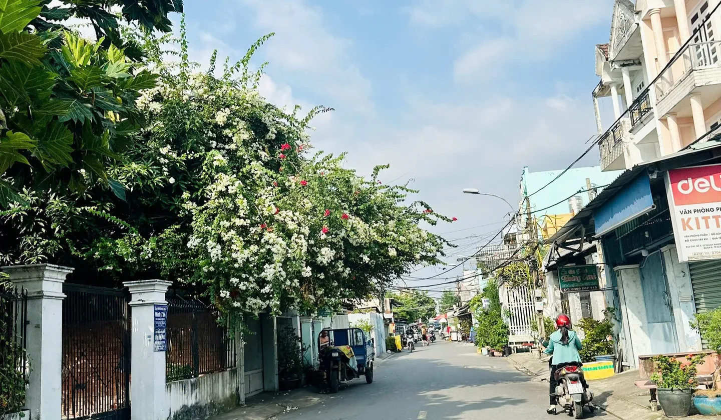 Nhà phố đẳng cấp tại Phú Định, 2516m2, ngang hiếm 25m, view sông thoáng và tiềm năng đầu tư... Bán nhà mặt phố tại Phú Định, Hồ Chí Minh 01