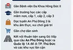 CHỦ GẤP BÁN 2.292M² MẶT TIỀN AN PHÚ ĐÔNG 3 – NGANG 33M – GIÁP GÒ VẤP – 50 TỶ... Bán nhà mặt phố tại An Phú Đông, Hồ Chí Minh 03