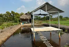 B.á.n đất Hóc Môn, sổ hồng chính chủ, 1583m2, gần chợ, Đại học lao động xã hội…, nhỉnh 5 tỷ... Bán đất tại Đông Thạnh, Hồ Chí Minh 02