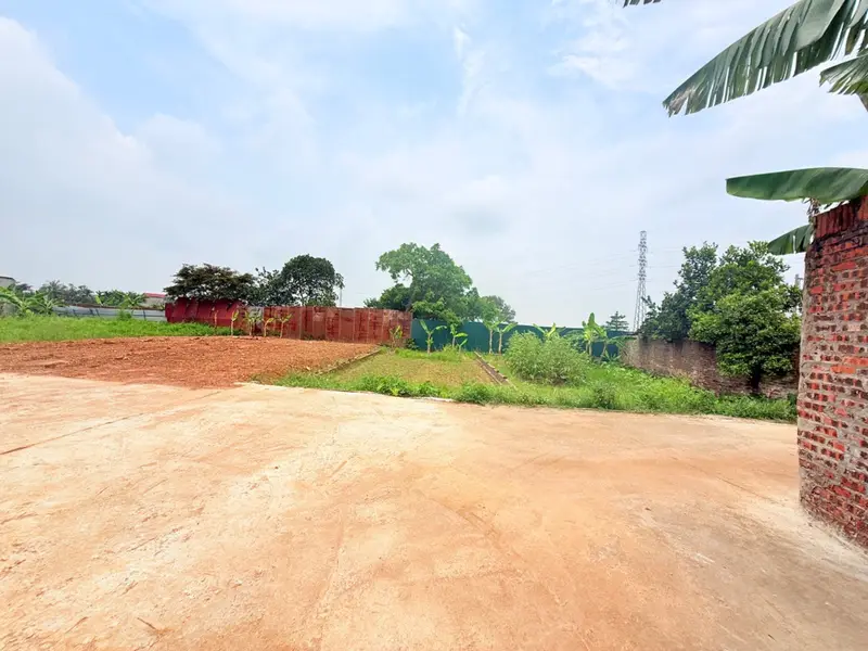 🏡 ĐẤT ĐẸP VỆ LINH – SÓC SƠN | MẶT TIỀN RỘNG | GIÁ CHỈ 1X TRIỆU/M²
📍 Thôn Vệ Linh (xã Phù Linh cũ)... Bán đất tại Sóc Sơn, Hà Nội 01