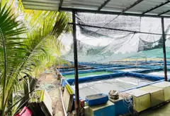Bán đất CLN được chuyển thổ 2500m2 mặt tiền 50m tại Bình Chánh, đường container tiện đi lại... Bán đất tại Bình Lợi, Hồ Chí Minh 07