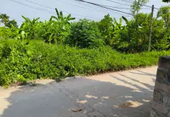 Mảnh Đất Vàng Tại Trung Tâm Kênh Giang - Cơ Hội Đầu Tư Không Thể Bỏ Lỡ... Bán đất tại Lưu Kiếm, Hải Phòng 02