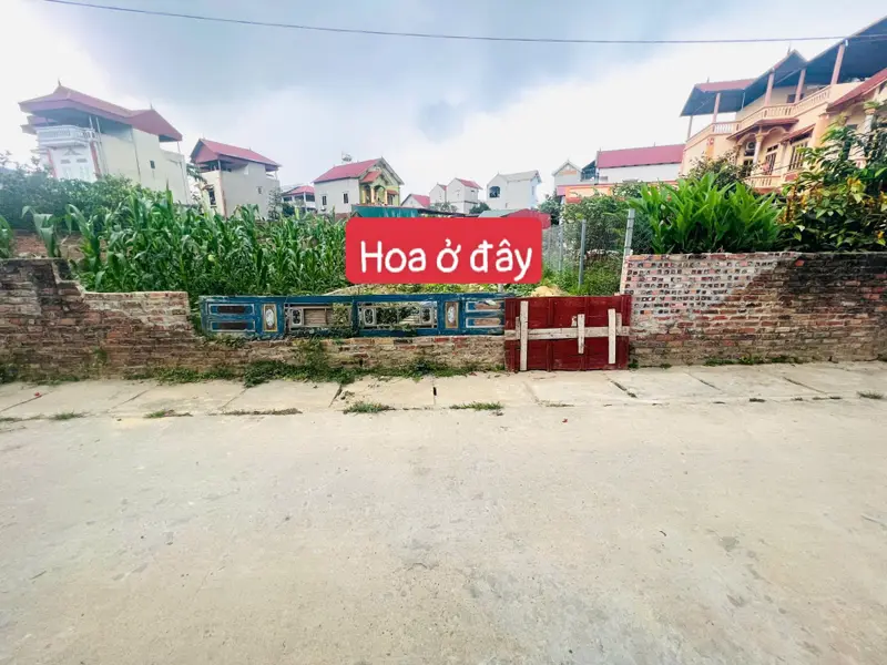 Bán đất thổ cư 159m2 tại xã Bắc Phú, Sóc Sơn - Mặt tiền 5m, pháp lý rõ ràng... Bán đất tại Đa Phúc, Hà Nội 01