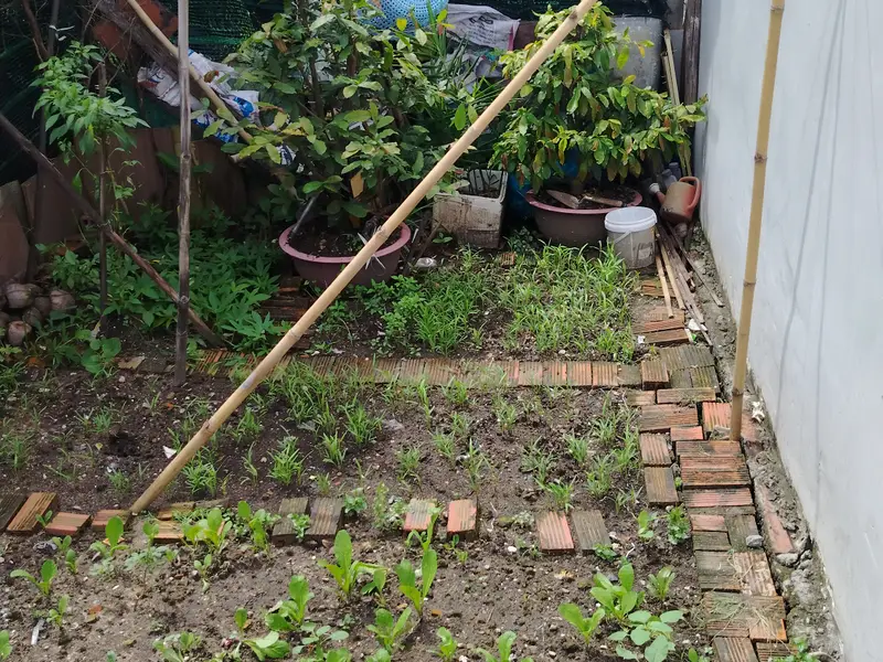 ĐẤT THỔ CƯ - Khu Phân Lô đường THẠNH XUÂN 24 phường THẠNH XUÂN Q12, Dt 44m² Hẻm 4m, 3,25Tỷ... Bán đất tại Thới An, Hồ Chí Minh 01