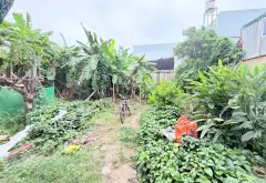 Bán đất 81.4m2 hướng Nam phường Long Trường Quận 9 giá 3.7 tỷ... Bán đất tại Long Trường, Hồ Chí Minh 10