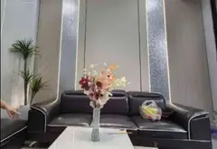 Nhà 3 tầng có thang máy, hẻm ô tô vào nhà khu Âu Cơ - Lạc Long Quân... Bán nhà riêng tại Tân Hòa, Hồ Chí Minh 02