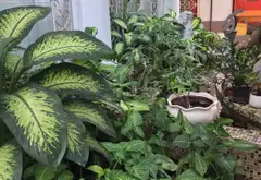 🍀🍀 KHÁCH SẠN 4 SAO 9 TẦNG CÓ HỒ BƠI RẤT RỘNG HIẾM GIỮA TRUNG TÂM PHÚ NHUẬN Chỉ 149 Tỷ🧧🧧... Bán bất động sản khác tại Phú Nhuận, Hồ Chí Minh 03