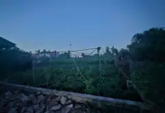Cơ hội sở hữu đất vàng tại xã Văn Giang, Hưng Yên ngay hôm nay... Bán đất tại Văn Giang, Hưng Yên 05